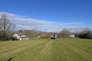 Photo 3- click for photo gallery